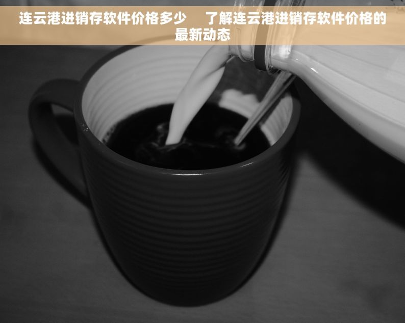连云港进销存软件价格多少     了解连云港进销存软件价格的最新动态