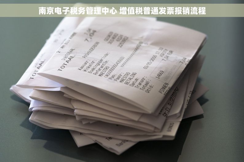 南京电子税务管理中心 增值税普通发票报销流程