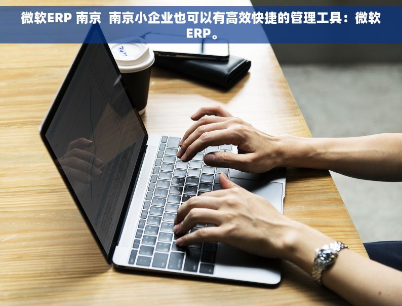 微软ERP 南京  南京小企业也可以有高效快捷的管理工具：微软ERP。