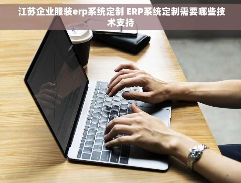  江苏企业服装erp系统定制 ERP系统定制需要哪些技术支持