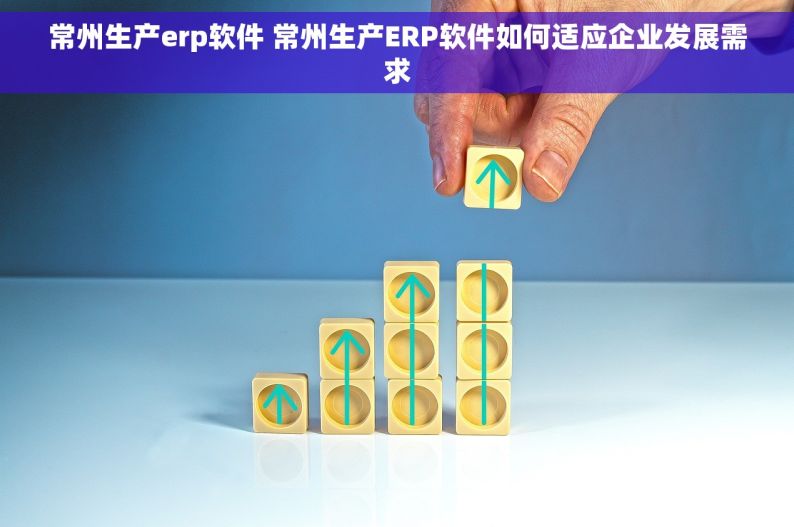 常州生产erp软件 常州生产ERP软件如何适应企业发展需求