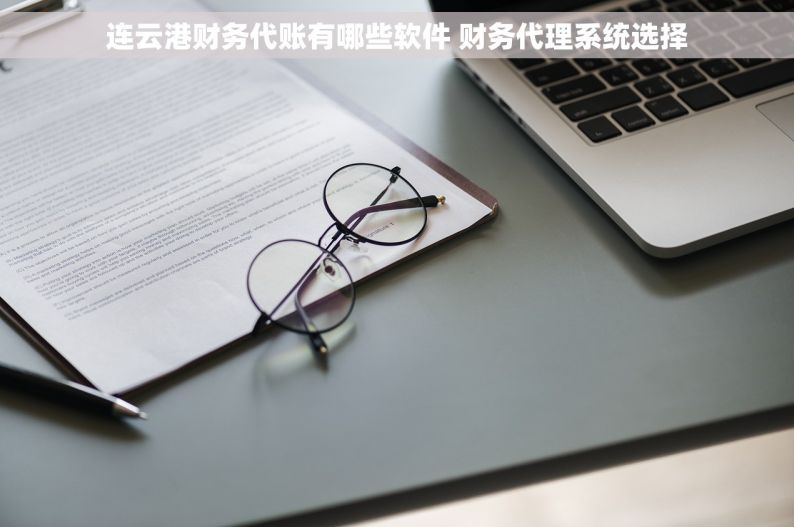 连云港财务代账有哪些软件 财务代理系统选择