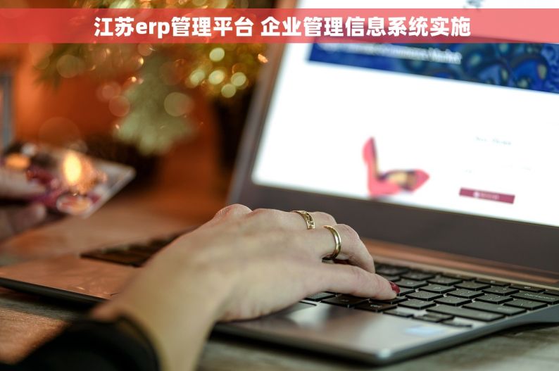  江苏erp管理平台 企业管理信息系统实施