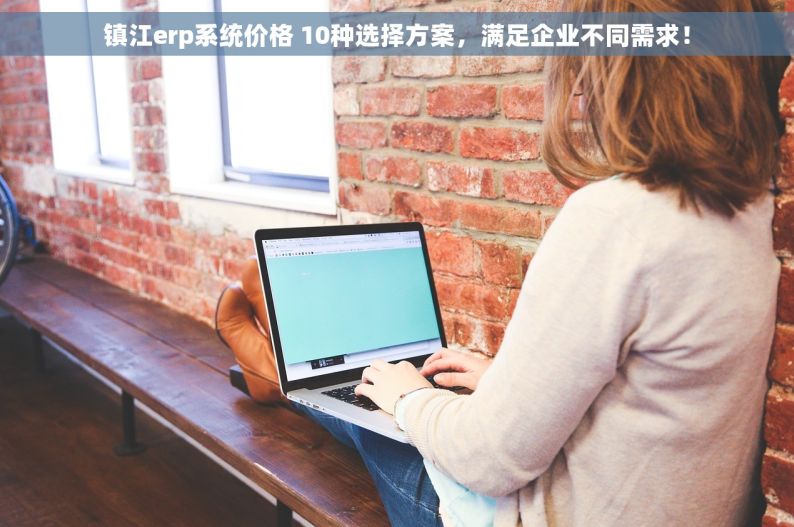 镇江erp系统价格 10种选择方案，满足企业不同需求！