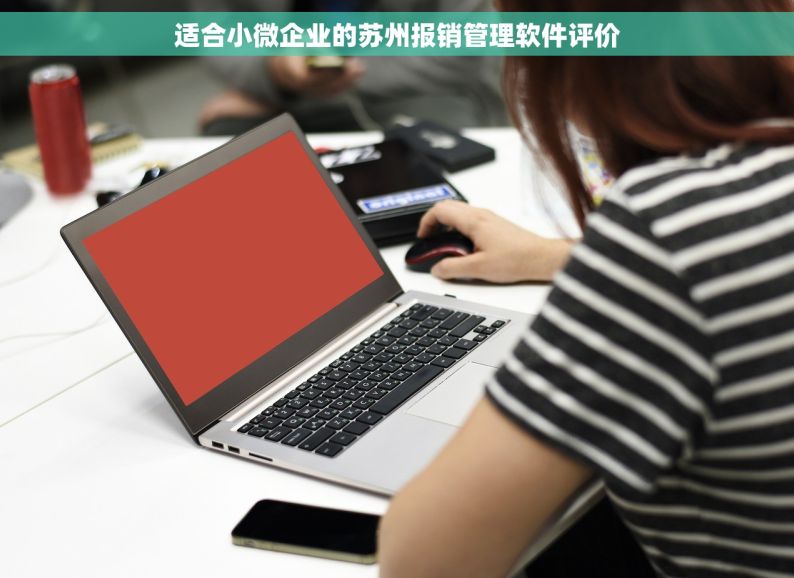 适合小微企业的苏州报销管理软件评价