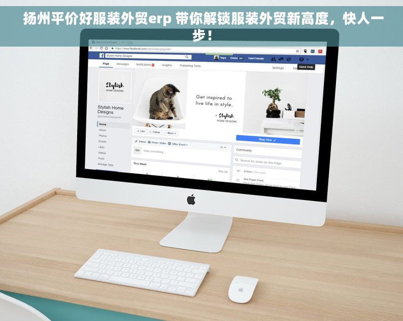  扬州平价好服装外贸erp 带你解锁服装外贸新高度，快人一步！
