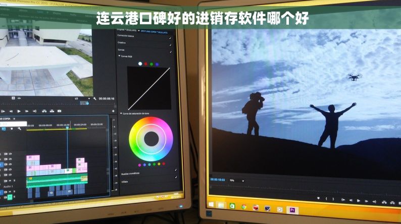  连云港口碑好的进销存软件哪个好