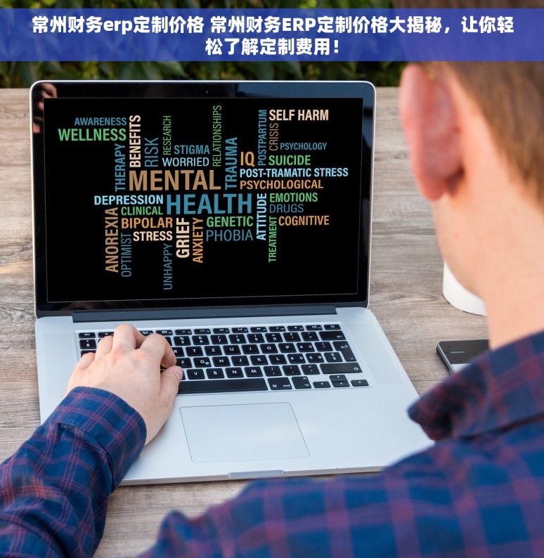 常州财务erp定制价格 常州财务ERP定制价格大揭秘，让你轻松了解定制费用！