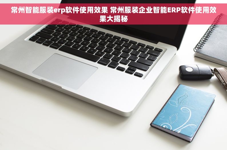 常州智能服装erp软件使用效果 常州服装企业智能ERP软件使用效果大揭秘
