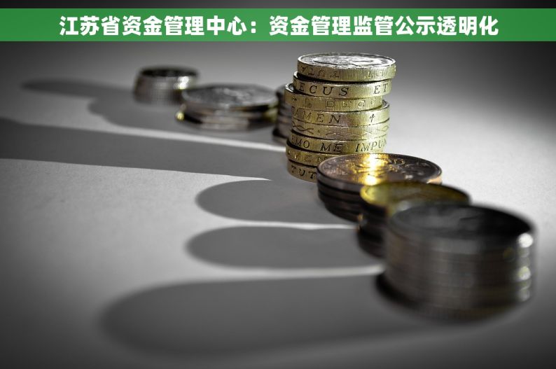 江苏省资金管理中心：资金管理监管公示透明化