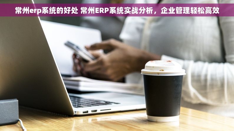 常州erp系统的好处 常州ERP系统实战分析，企业管理轻松高效