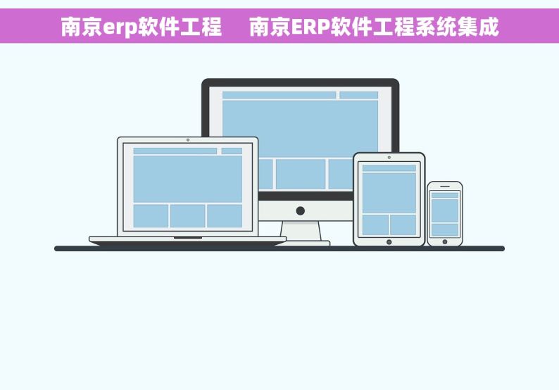 南京erp软件工程     南京ERP软件工程系统集成