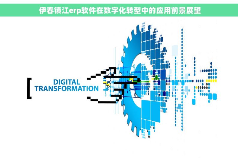  伊春镇江erp软件在数字化转型中的应用前景展望