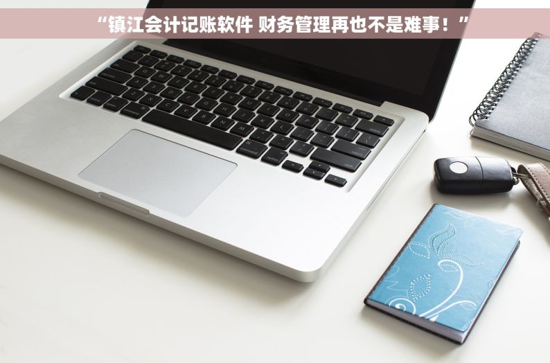 “镇江会计记账软件 财务管理再也不是难事！”