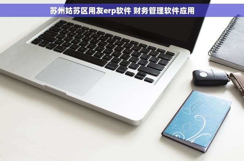 苏州姑苏区用友erp软件 财务管理软件应用