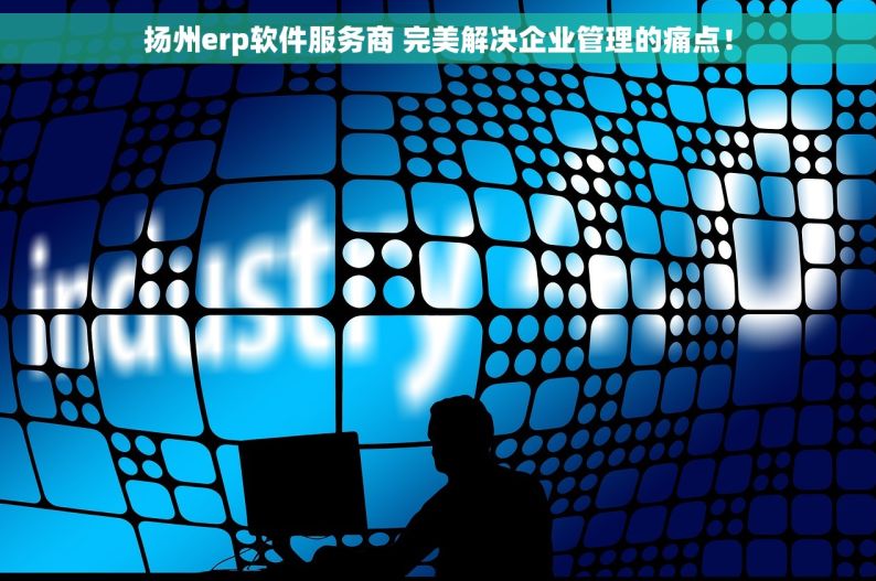 扬州erp软件服务商 完美解决企业管理的痛点！