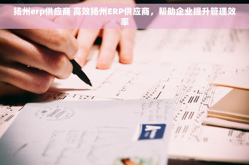扬州erp供应商 高效扬州ERP供应商，帮助企业提升管理效率