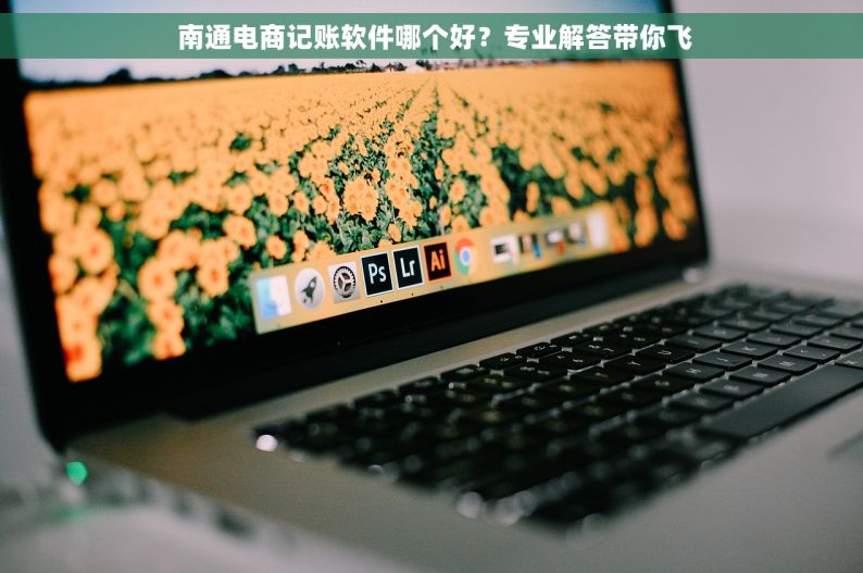  南通电商记账软件哪个好？专业解答带你飞