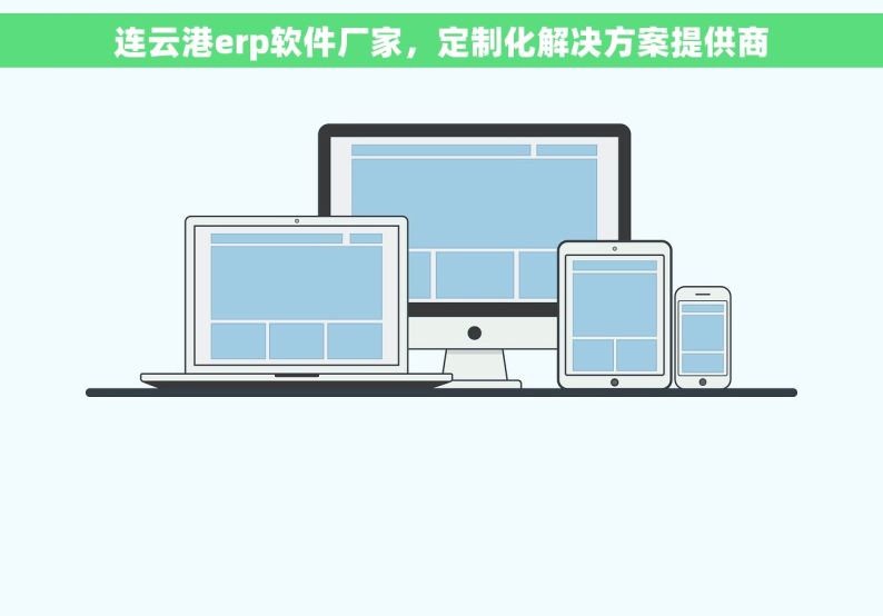 连云港erp软件厂家，定制化解决方案提供商