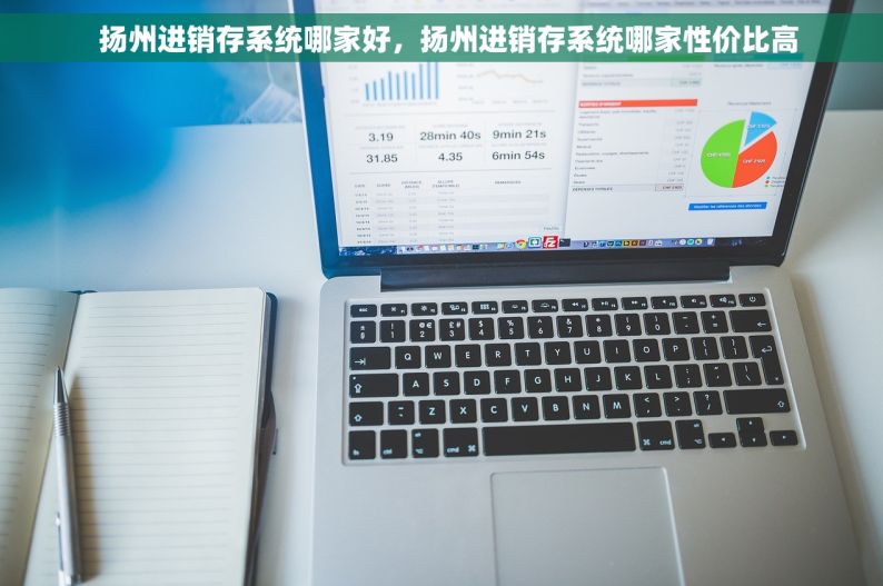   扬州进销存系统哪家好，扬州进销存系统哪家性价比高