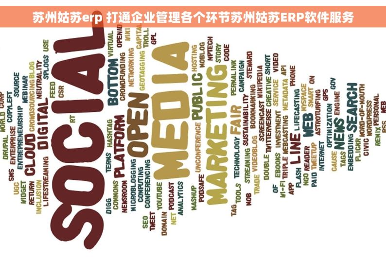苏州姑苏erp 打通企业管理各个环节苏州姑苏ERP软件服务