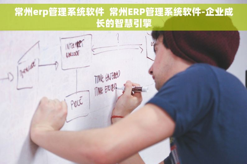 常州erp管理系统软件  常州ERP管理系统软件-企业成长的智慧引擎