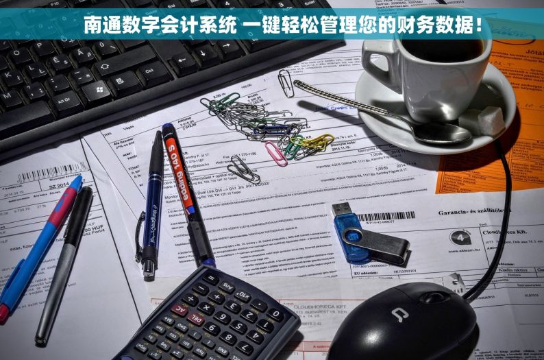     南通数字会计系统 一键轻松管理您的财务数据！