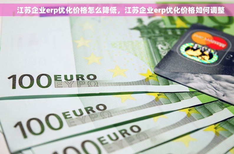     江苏企业erp优化价格怎么降低，江苏企业erp优化价格如何调整