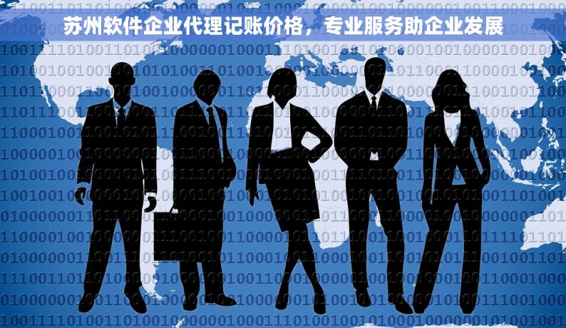 苏州软件企业代理记账价格，专业服务助企业发展