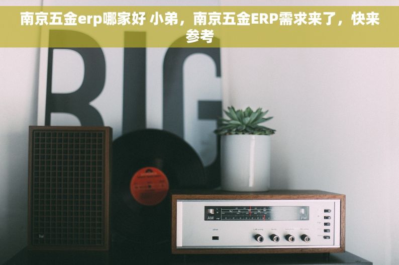 南京五金erp哪家好 小弟，南京五金ERP需求来了，快来参考