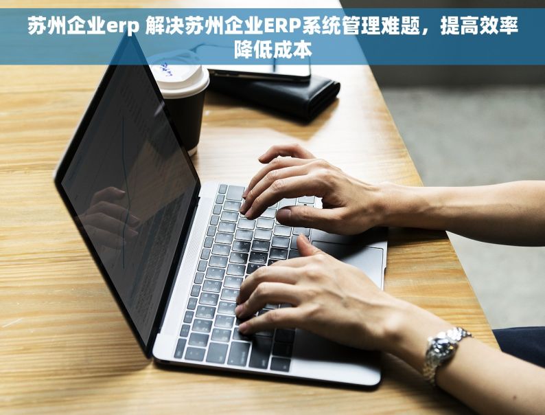 苏州企业erp 解决苏州企业ERP系统管理难题，提高效率降低成本