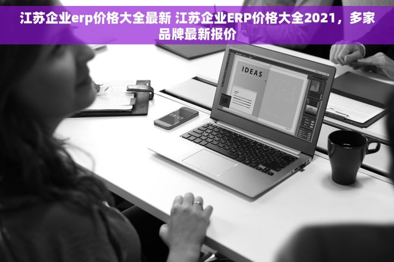 江苏企业erp价格大全最新 江苏企业ERP价格大全2021，多家品牌最新报价