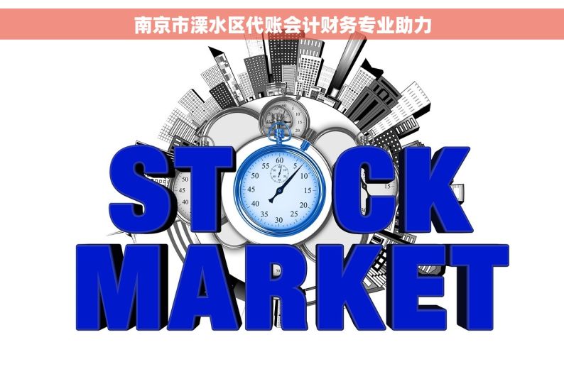 南京市溧水区代账会计财务专业助力