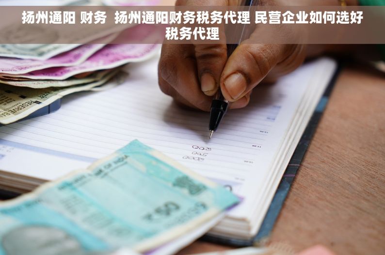 扬州通阳 财务  扬州通阳财务税务代理 民营企业如何选好税务代理