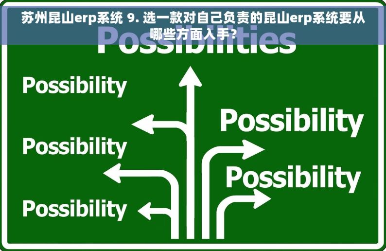 苏州昆山erp系统 9. 选一款对自己负责的昆山erp系统要从哪些方面入手？