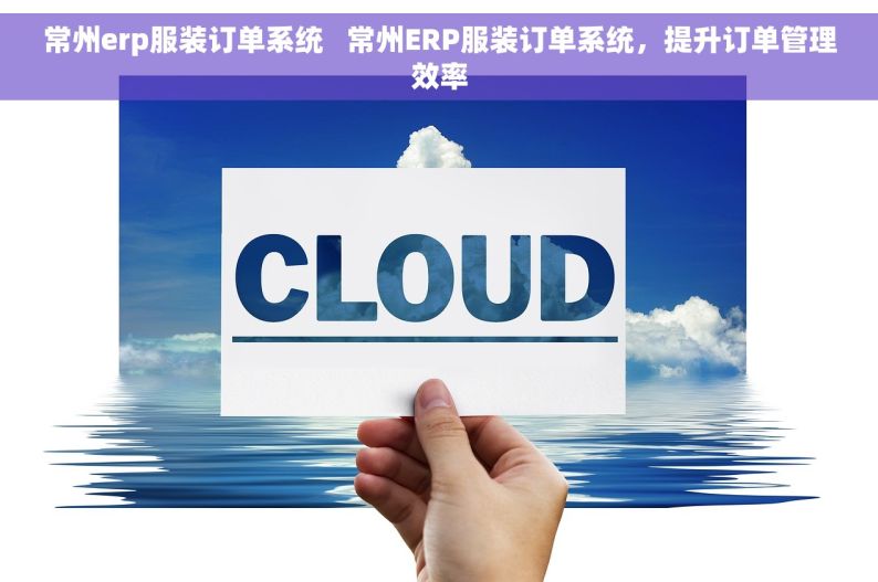 常州erp服装订单系统   常州ERP服装订单系统，提升订单管理效率