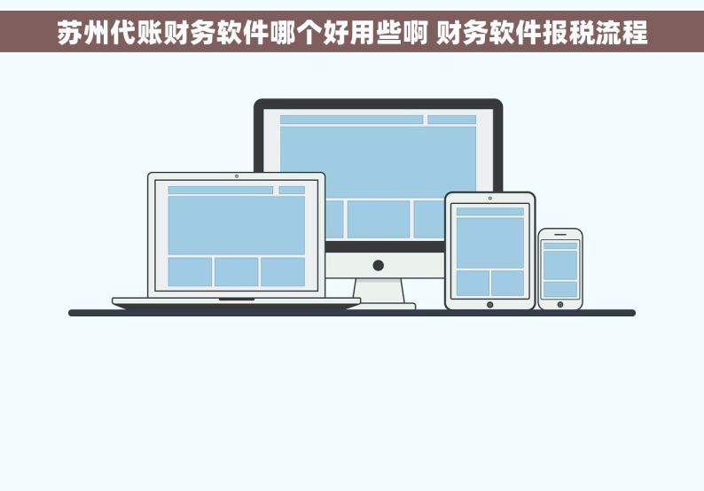 苏州代账财务软件哪个好用些啊 财务软件报税流程