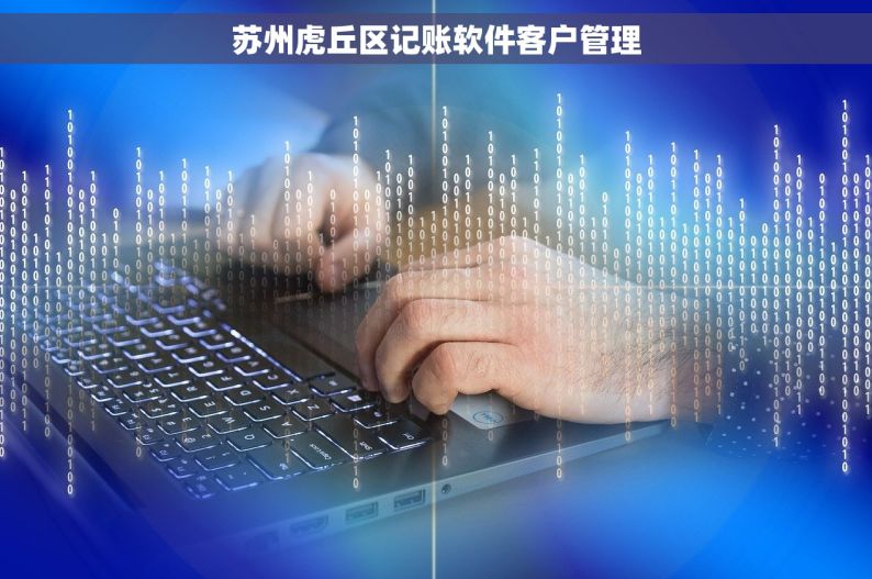 苏州虎丘区记账软件客户管理