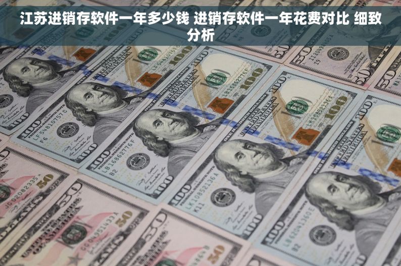 江苏进销存软件一年多少钱 进销存软件一年花费对比 细致分析