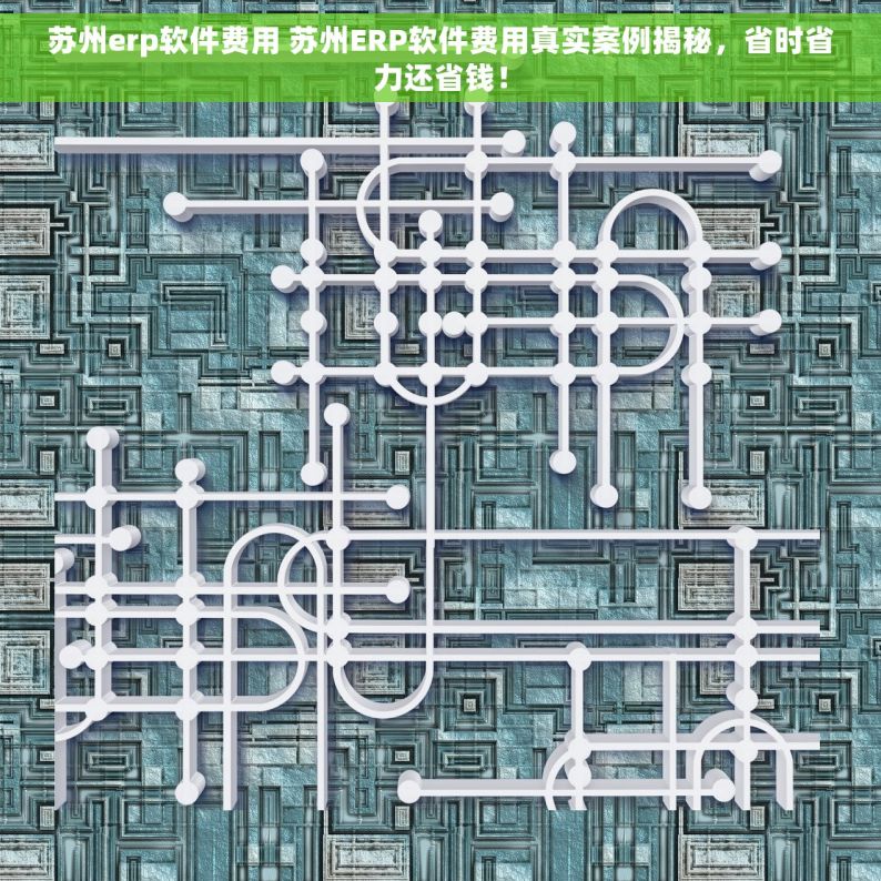 苏州erp软件费用 苏州ERP软件费用真实案例揭秘，省时省力还省钱！