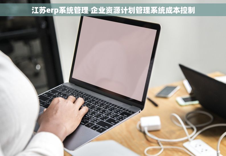 江苏erp系统管理 企业资源计划管理系统成本控制