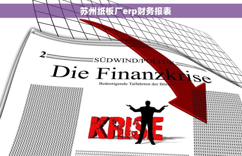     苏州纸板厂erp财务报表