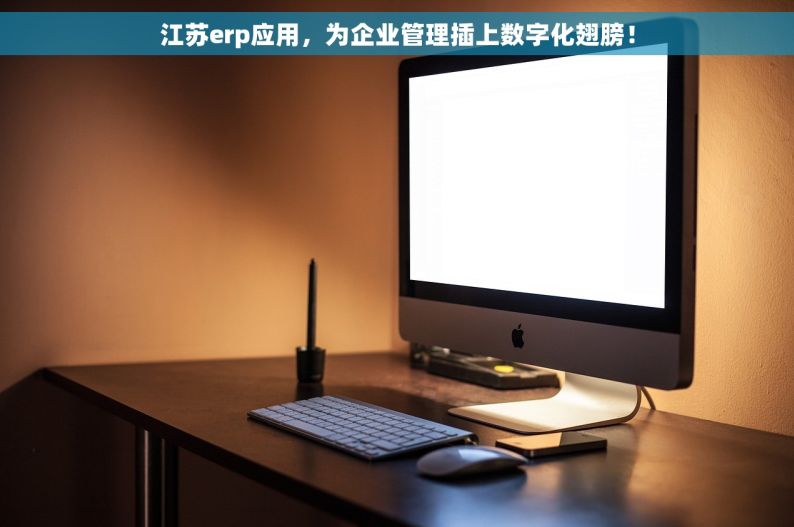 江苏erp应用，为企业管理插上数字化翅膀！