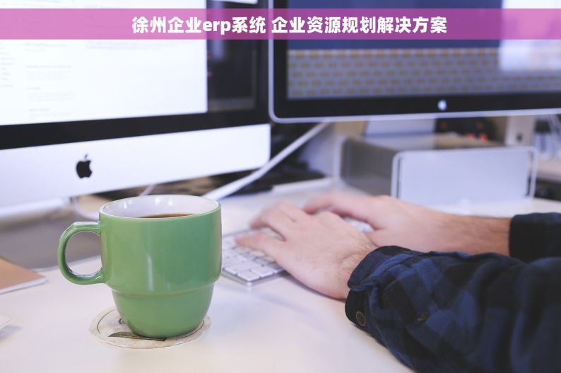     徐州企业erp系统 企业资源规划解决方案