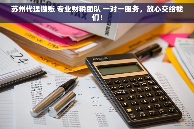 苏州代理做账 专业财税团队 一对一服务，放心交给我们！