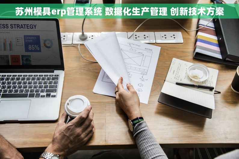 苏州模具erp管理系统 数据化生产管理 创新技术方案