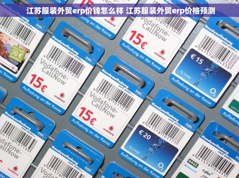  江苏服装外贸erp价钱怎么样 江苏服装外贸erp价格预测