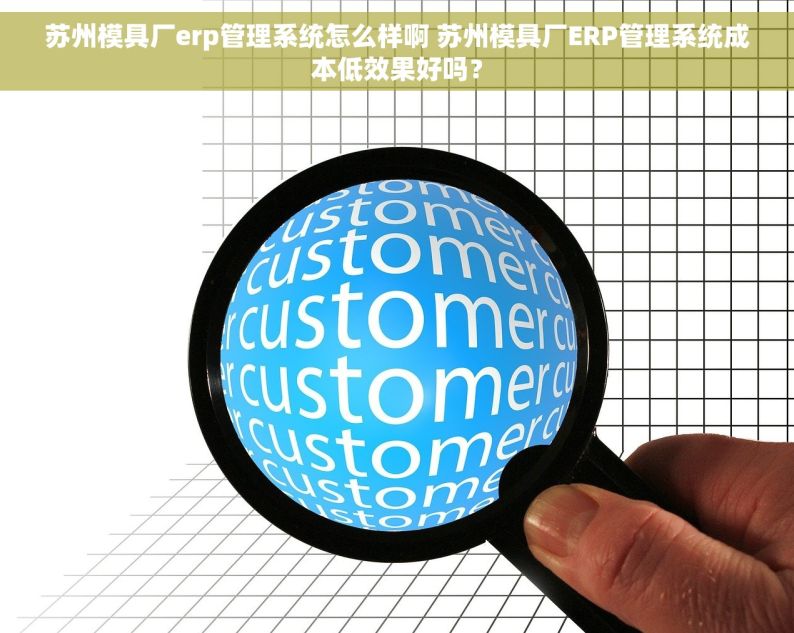 苏州模具厂erp管理系统怎么样啊 苏州模具厂ERP管理系统成本低效果好吗？