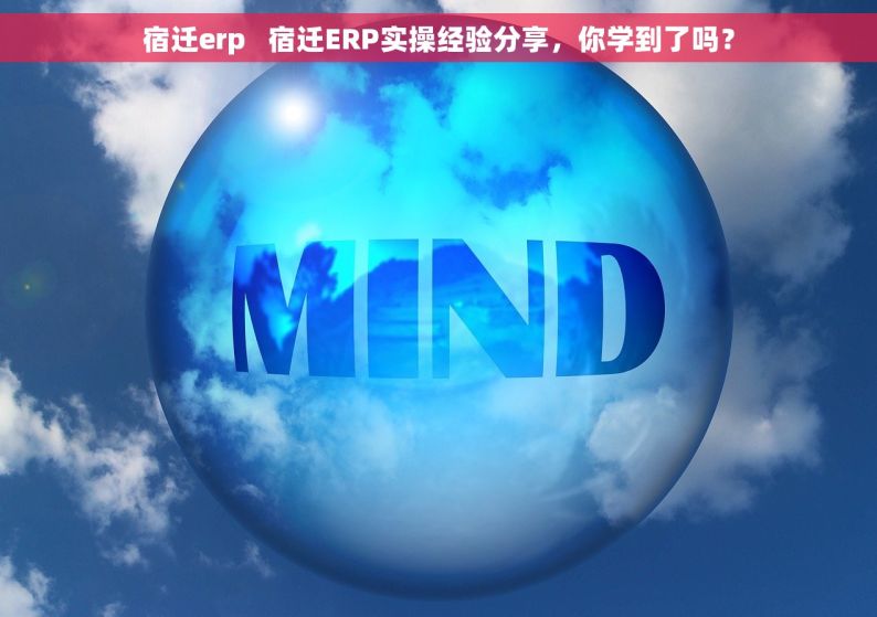 宿迁erp   宿迁ERP实操经验分享，你学到了吗？