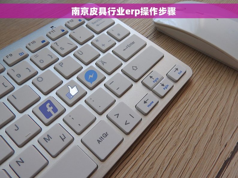     南京皮具行业erp操作步骤